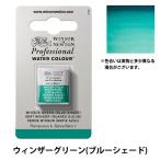  краситель [ Professional вода цвет половина хлеб 719 wing The - зеленый голубой затенитель от солнца 3102719] Winsor&amp;Newton