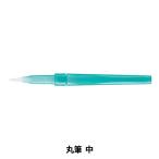  краситель [Vistage( vi Star ju).. кисть тонкий модель круг кисть средний XFRS-M] Pentel Pentel 
