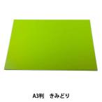 画材 『カラー工作用紙 黄緑』