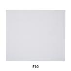  материалы для рисования [ маслянистость ami Anne tokaru тонн F10 152107] HOLBEIN ho ru Bay n