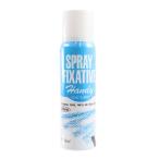 画材 『ハンディフィキサチフ 100ml』 HOLBEIN ホルベイン