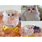 愛猫うちの子グッズ愛犬リングレディ...