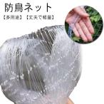  защита от птиц сеть прозрачный 3×10m птица .. сеть .. фруктовое дерево веранда птица .. сеть sz механизм las голубь . входить предотвращение голубь .. сеть птица . меры защита от птиц сеть мелкий 25