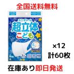 超立体マスク こども用 男の子 5枚入×12個セット