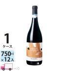 ポイント10倍 プローペ モンテプルチャーノ ダブルッツォ [I918] 1ケース(12本) 送料無料