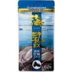 販売実績18年の濃縮牡蠣エキス 「海乳EX」 （31日分62粒）亜鉛 グリコーゲン アルギニン ビタミン アミノ酸 ミネラル