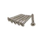 YJB PARTS ブリッジマウント・エンドピン用ビス ニッケル 6本入り (メール便対応)