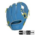  Nike перчатка мужской женский veipa- Elite a Koo nya Youth NIKE BA2007-403 синий blue Nike Youth бейсбол для софтбола . покупка 