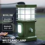 pi- Spark фонарь динамик &amp; с подсветкой wild лампа PEACE PARK PP0360KH хаки оливковый pi- Spark 6W