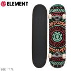  бесплатная доставка Element скейтборд мужской женский спиральный Complete скейтборд 7.75 ELEMENT ALYXW00162 чёрный . покупка 