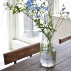 クレエ 花瓶 シナリーベース D CREER 92180004 フラワーベース 花びん 花ビン ガラスベース 雑貨 ガーデニング 水差し 花 ビン
