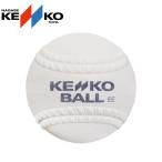 nagase Kenko мяч Kids Junior ребенок софтбол сертификация 11 дюймовый ( старый 2 номер ) NAGASEKENKO S11C белый софтбол . покупка 