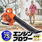 エンジンブロワー 25.4cc 強力送風機 ノズル各種＆肩掛けベルト付き 日本語説明書 落ち葉 除雪 小型 軽量