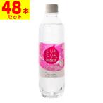 ショッピング炭酸水 500ml 送料無料 48本 シリカシリカスパークリング 500ml(2ケース(48本入))