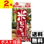(ポスト投函)米びつ先生 1年用(2個セット)