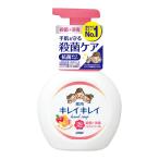 (ライオン)キレイキレイ 薬用泡ハンドソープ フルーツミックスの香り ポンプ 250mL