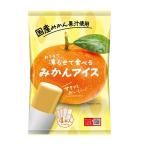 おうちで凍らせて食べるみかんアイス 70g×4本入
