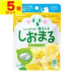 ( почтовая отправка )( Sara ya). горшок .... лимон soda тест 30g(5 шт. комплект )