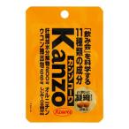 (興和)カンゾコーワ粒 2粒入