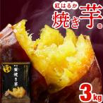 (ポイント2倍 最短当日出荷) 焼き芋 冷凍 さつまいも 紅はるか 3kg 蜜焼き芋 500g×6袋 サツマイモ スイーツ 財宝