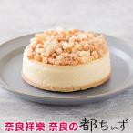 チーズケーキ 奈良の都ちぃずケー