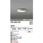 オーデリック LEDエクステリア　白熱灯１００Ｗ　薄型軒下灯　OG254519　メーカー直送最短発送　期間限定SALE
