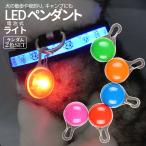  брелок для ключа LED свет светится Random 2 шт сладости свет батарейка прогулка домашнее животное ключ kalabina собака ошейник кемпинг party оборудование орнамент иллюминация украшение Рождество 2-CANCLI