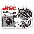 ステッカー　ＲＥＣ＃４ 自動車用ステッカー デカール わちふぃーるど 猫のダヤン