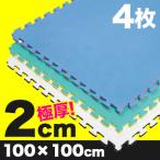 《4枚》リバーシブルジョイントマット2.0 ボディメーカー 100×100×2cm(格闘技/柔道/レスリング/空手/マット/単色) メーカー直送