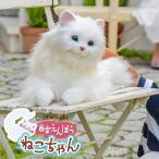 しっぽふりふり あまえんぼう ねこちゃん(おもちゃ オモチャ 玩具 ぬいぐるみ 人形 電子玩具 電子おもちゃ 電子ペット)