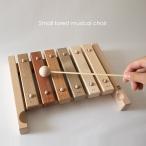 小さな森の合唱団 琉球版(木琴 おもちゃ 木製 楽器 木製玩具 木のおもちゃ 楽器おもちゃ 音の出るおもちゃ 知育 子供)