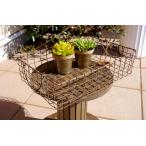 ガーデニング雑貨 ワイヤーバスケット プランターバスケット スクエア トレイ かご 持ち手付き カントリーバスケット ガーデン雑貨 水切り ハンドル ガーデン