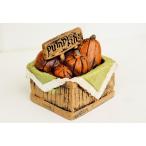  садоводство смешанные товары Halloween миниатюра Trick катушка - -ve -тактный тыква посадочная машина эмблема Anne to Stella горшок украшение украшение дешевый мелкие вещи Halo we n