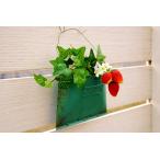 ガーデニング雑貨 ハンギングメタルカッププランター グリーン 植木鉢 プランターポット ブリキ 壁掛け アジアジ azi-azi TIN 庭飾り シェルフ 園芸 バスケット