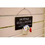  садоводство смешанные товары орнамент посадочная машина . сервировочный поднос pitare hang pot черный чёрный retro жестяная пластина табличка автограф plate двор украшение стена украшение орнамент TIN автограф cup садоводство сопутствующие товары 