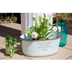  садоводство смешанные товары посадочная машина pot посадочная машина cup . сервировочный поднос .... цветочный горшок se язык mo man овальный W белый крышка плантатора модный сад смешанные товары садоводство жестяная пластина производства 