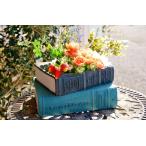  садоводство смешанные товары посадочная машина pot посадочная машина cup сад смешанные товары . сервировочный поднос Lee vurudo Bosch синий крышка плантатора .... цветочный горшок Country смешанные товары интерьер 