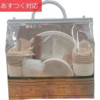 エコ・フレンドリー ピクニックバック 100PC