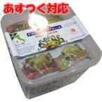 オリーブ 種なし 30g x 20 プレーンスパイシー