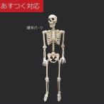 ハロウィン スケルトン 約152cm 好きな形にポーズを取ることができます