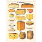 アメリカ　CAVALLINI　カヴァリーニ　ラッピングペーパー　チーズ　Cheese