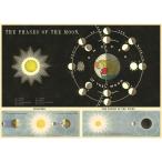 アメリカ　CAVALLINI　カヴァリーニ　ラッピングペーパー　ポスター　月相　Phases Of The Moon