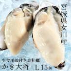 『かき大将Lサイズ15個』三陸 宮城 女川 牡蠣 殻付き 生食用 生牡蠣 生カキ 産地直送 BBQ 牡蠣ナイフセット付(片軍手・レシピ/殻の剥き方)ギフト のし対応可