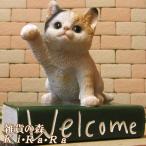 置物動物可愛い猫の置物ウエルカムブ...