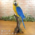 鳥の置物 アオキコンゴウインコ リアル ガーデニング インテリア 店舗 カウンター 装飾 デコニク 庭 ベランダアート