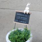  флорист Lapin pick . сервировочный поднос .... садоводство сад орнамент двор симпатичный украшение pick натуральный ... заяц [ compact соответствует ]