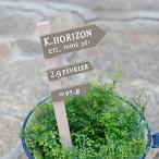 [olizona-bru pick ] сад pick [ кошка pohs * compact соответствует ]