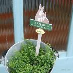 aru gun pick . сервировочный поднос .... сад pick простой садоводство модный симпатичный заяц ...[ кошка pohs * compact соответствует ]