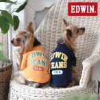 EDWIN カレッジロゴTシャツ 2023春夏 犬服 エドウイン エドウィン