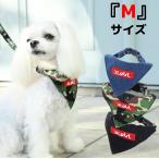 カラー 首輪 犬 犬具 小型犬 中型犬 